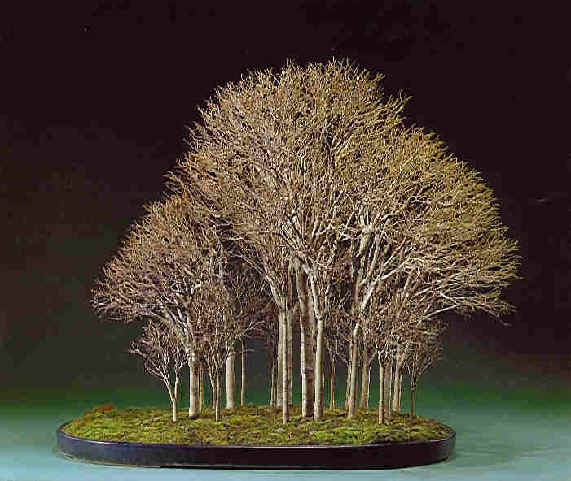 4Seasons_3.jpg (42305 bytes)