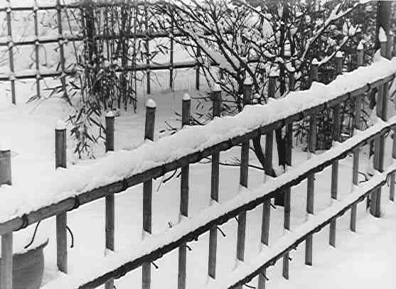 Fence.jpg (54537 bytes)