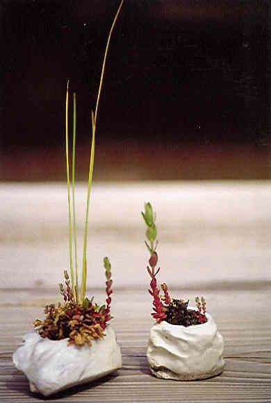 Fumiko_Kato_2.jpg (18005 bytes)